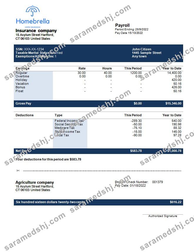 insurance company fully editable earning statement template in Word and PDF formats
